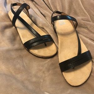 Jane and the Shoe. Black sandals. Size 7.5